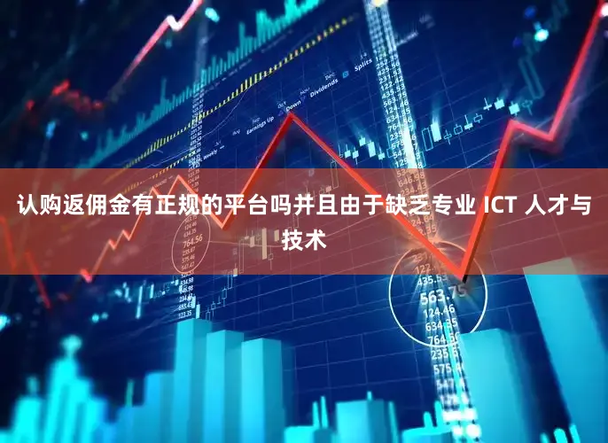 认购返佣金有正规的平台吗并且由于缺乏专业 ICT 人才与技术