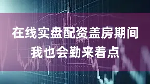 在线实盘配资盖房期间我也会勤来着点